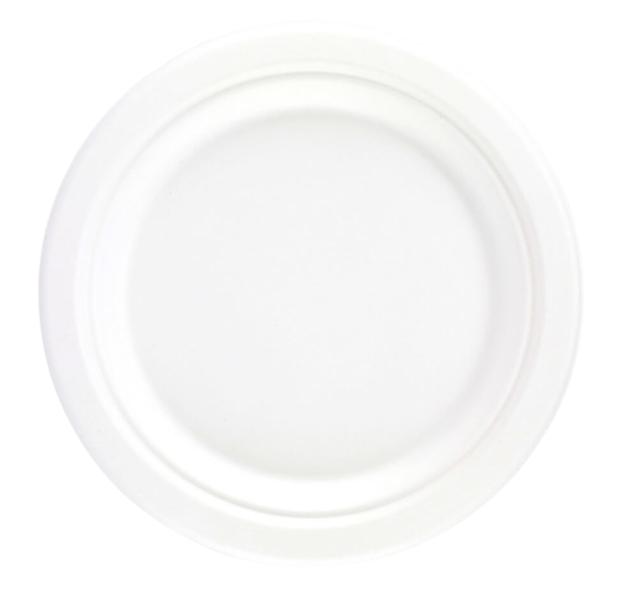 Disposable Plates x 10