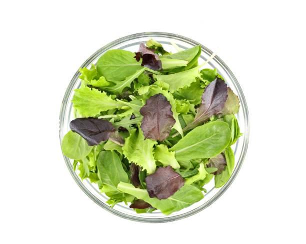 Mixed Green Salad 
