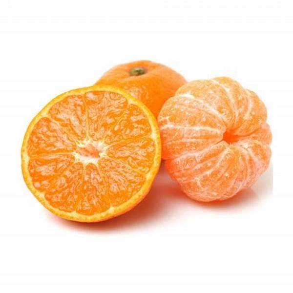 Christmas Menu Fresh Satsumas 10 pieces